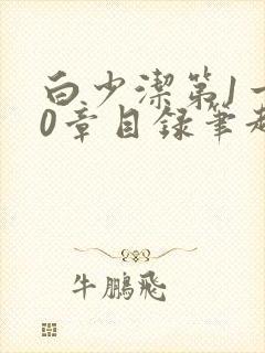 白少洁第1一40章目录笔趣阁