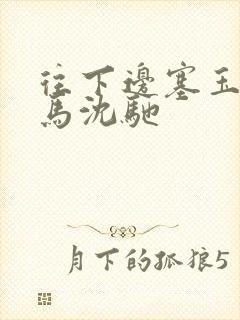 往下边塞玉器骑马沈驰