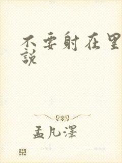 不要射在里面小说