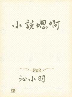 小说嗯啊封面
