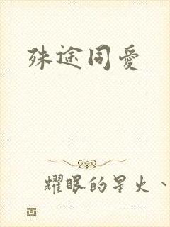 殊途同爱封面