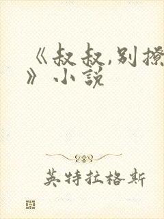 《叔叔,别撩我》小说