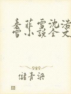 秦菲雪沈浩秦菲雪小说全文免费阅读求书