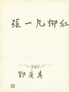 张一凡柳红封面