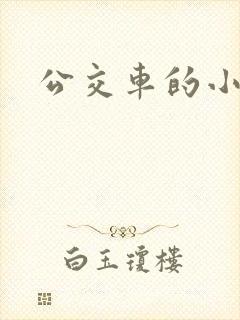 公交车的小说