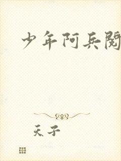 少年阿兵阅读封面