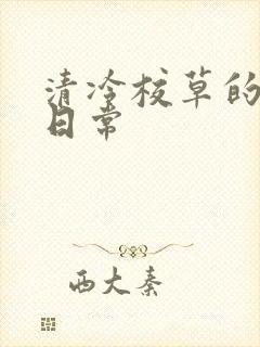 清冷校草的抹布日常