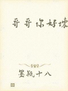 哥哥你好坏封面