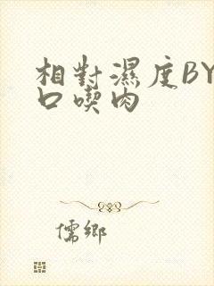 相对湿度BY大口吃肉