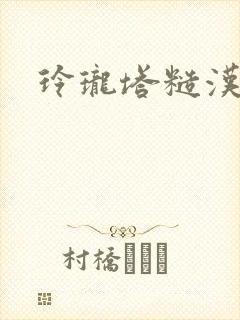 玲珑塔糙汉租客