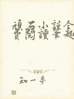 顽石小说全文免费阅读笔趣阁