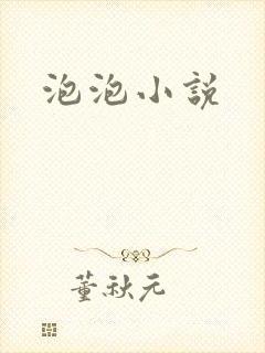 泡泡小说