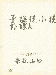 青梅从小摸到大补课h