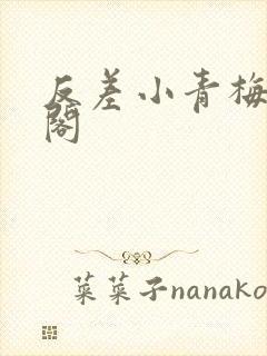 反差小青梅笔趣阁封面