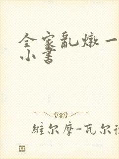全家乱炖一锅烩小书
