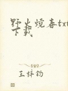 野火烧春txt下载