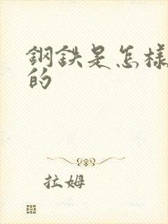 钢铁是怎样练成的封面