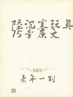 陆沉塞玩具高速75章原文