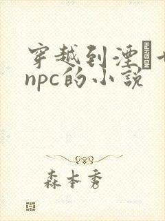 穿越到湮婸世界npc的小说