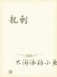 龙刺封面