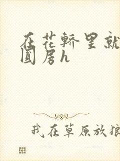 在花轿里就开始圆房h