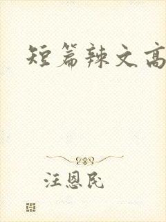 短篇辣文高h