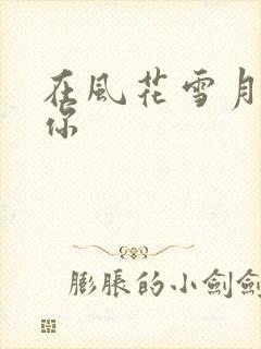 在风花雪月里等你