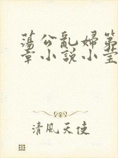 荡公乱妇第51章小说小莹