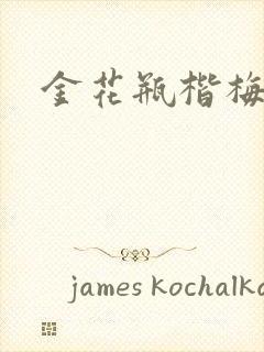 金花瓶楷梅花5封面