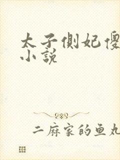 太子侧妃傻乎乎小说