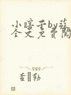 小瞎子by苏软全文免费阅读