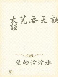 太荒吞天诀 小说