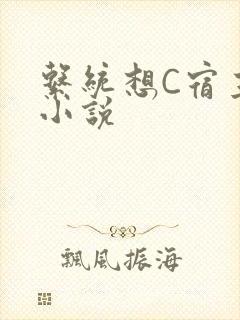 系统想C宿主的小说