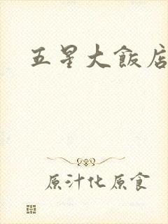 五星大饭店小说