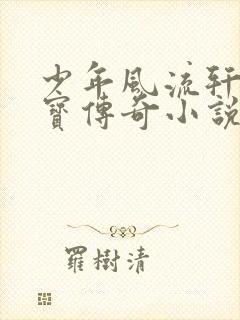 少年风流轩辕大宝传奇小说