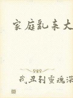 家庭乱来大杂烩