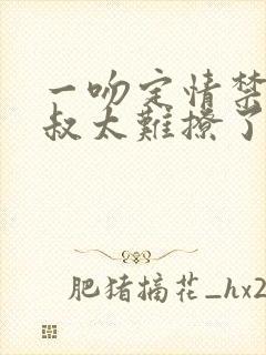 一吻定情禁欲小叔太难撩了封面