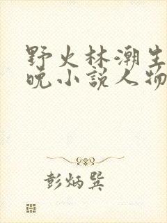 野火林潮生林晚晚小说人物野火