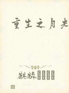 重生之月光少年