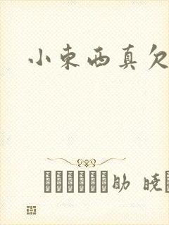 小东西真欠弄封面