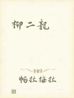 柳二龙封面
