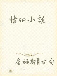 情se小说