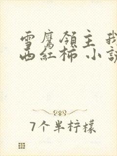 雪鹰领主 我吃西红柿 小说封面