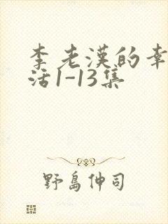 李老汉的幸福生活1-13集