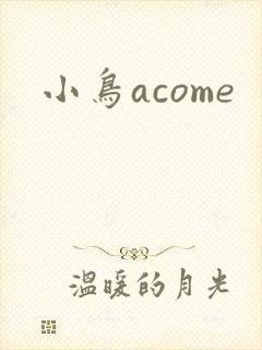 小鸟acome