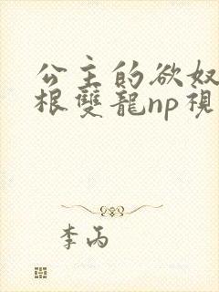 公主的欲奴h四根双龙np视频