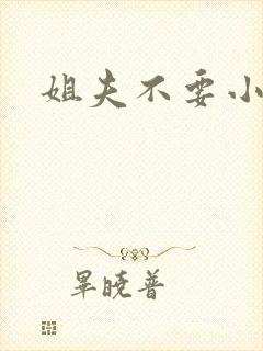 姐夫不要小说
