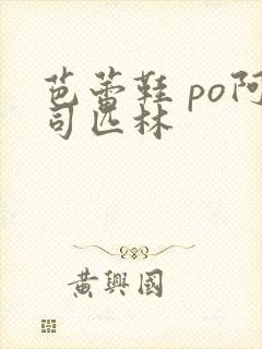 芭蕾鞋 po阿司匹林封面