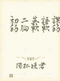 初二英语课代表的胸软软的