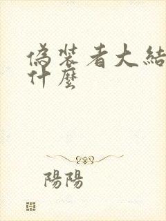 伪装者大结局是什么封面